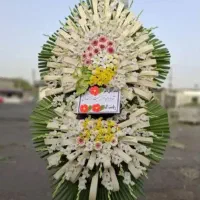 تاج گل ختمی جشنی افتتاحیه