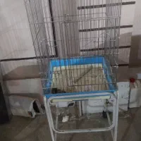 قفس 1033استیل|لوازم جانبی حیوانات|پاکدشت, پاکدشت (مامازند)|دیوار