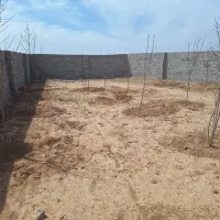 باغ دور دیوار موقعیت عالی۲۳۰ متری