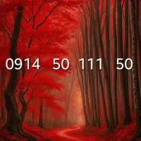 ۰۹۱۴۵۰۱۱۱۵۰