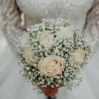 فیلمبرداری و عکاسی مجالس