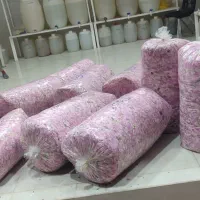 فروش گل محمدی تازه