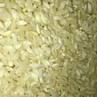 برنج چمپا چیتاب و صالحون|خوردنی و آشامیدنی|یاسوج, |دیوار