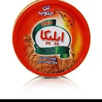 تن ایلیکا