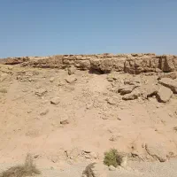 طلا