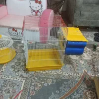 قفس انواع پرنده بزرگ