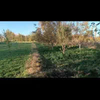 باغچه الوان|فروش دفتر صنعتی، کشاورزی، تجاری|نوشین شهر, |دیوار