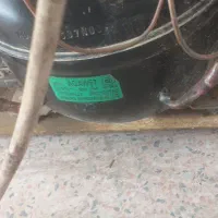 یخچال|یخچال و فریزر|شیراز, تندگویان|دیوار