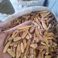 گندم  جو کسن|عمده‌فروشی|لردگان, |دیوار