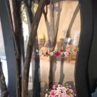 بوفه