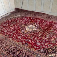 قالی دست بافت نجف اباد|فرش|لردگان, |دیوار
