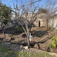 ویلا-باغ-کردکوی