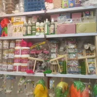 عروس هلندی برزیلی گرینچیک