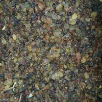 کشمش|عمده‌فروشی|ملایر, |دیوار