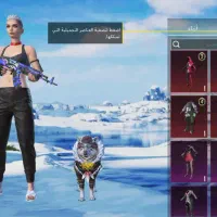 اکانت پابجی|کنسول، بازی ویدئویی و آنلاین|سوسنگرد, |دیوار