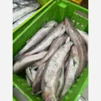 راهنمایی پخت ماهی