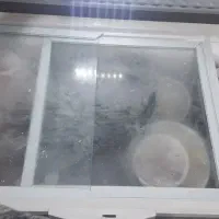 فریزر صندوقی|یخچال و فریزر|اهواز, زردشت|دیوار