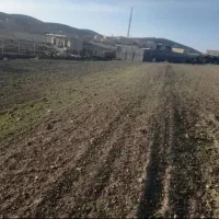 فروش زمین در روستا امن و خوب