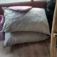 فروش عمده