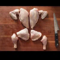 پخش عمده مرغ گرم و قطعه بندی مرغ به قیمت کشتارگاه|خوردنی و آشامیدنی|شیراز, شاپورجان|دیوار
