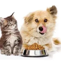 گربه،خرگوش،همستر،خوکچه،پرنده