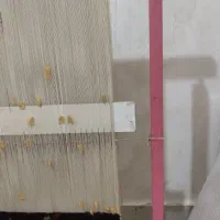 دارقالی به همراه چله کشی|تابلو فرش|فردیس, نگارستان|دیوار
