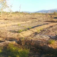 زمین باغی هرباتمانش۷۳ت دریالقوزآغاج|فروش دفتر صنعتی، کشاورزی، تجاری|مرند, |دیوار