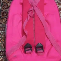 دوتا کوله پشتی صورتی|کیف، کفش، کمربند|شهریار, شهرک وائین|دیوار