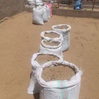 فروش کود گوسفندی نرم و خشک