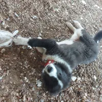 سرگرمی و فراغت