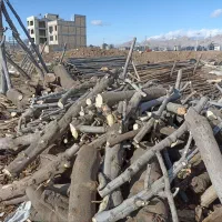 خریدار چوب انجیر  کیلویی۱۰هزار|خدمات باغبانی و درختکاری|خرم‌آباد, |دیوار