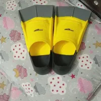 فین شنا