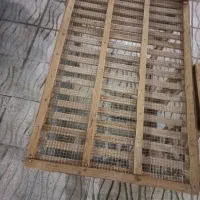 قفس|لوازم جانبی حیوانات|شاهین‌شهر, شهرک گلدیس|دیوار