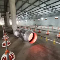 لوازم گلخانه مرغداری