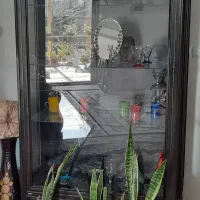 ویترین کاملا سالم