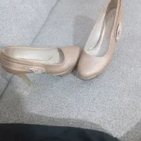 کفش مجلسی اورجینال|کیف، کفش، کمربند|تربتحیدریه, پائین ولایت|دیوار