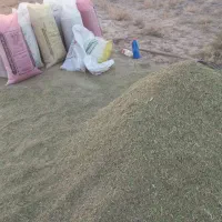 کاه خار شتر فروش|لوازم جانبی حیوانات|نیشابور, مازول|دیوار