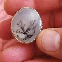 انگشترشجر قاینات|جواهرات|شادگان, |دیوار