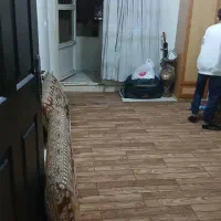 دو اتاق خواب حال و پذیرایی و آشپزخونه|فروش آپارتمان|محمدشهر, عباس آباد|دیوار