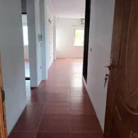 ساختمان اجاره ای نوساز جنگلی|اجارهٔ آپارتمان|نور, |دیوار