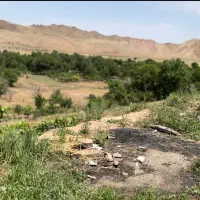 فروش-فوری-زمین-و-باغ-در-ششتمد-کیذقان