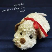 عروسک|اسباب‌بازی بچه|مشهد, دانشجو|دیوار