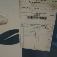 سرویس چینی توس۱۰۲پرچه|ظروف سرو و پذیرایی|گلبهار, شهر جدید گلبهار|دیوار