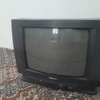 تلویزیون