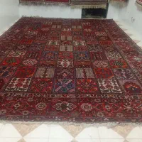 فرش ۱۶ متری دستباف بی بی بافت رنگ گیاهی