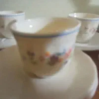 فنجان اصل