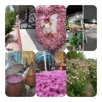 هر روز یک تور انتخاب با شما