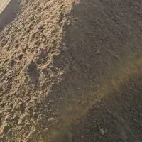 فروش کود مرغی.گاوی.فاضلابی. باقیمت مناسب|خدمات باغبانی و درختکاری|کازرون, |دیوار