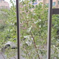 ۴ طبقه دربست موقعیت اداری ،مسکونی
