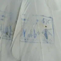 کبوتر پرشی گرو شده